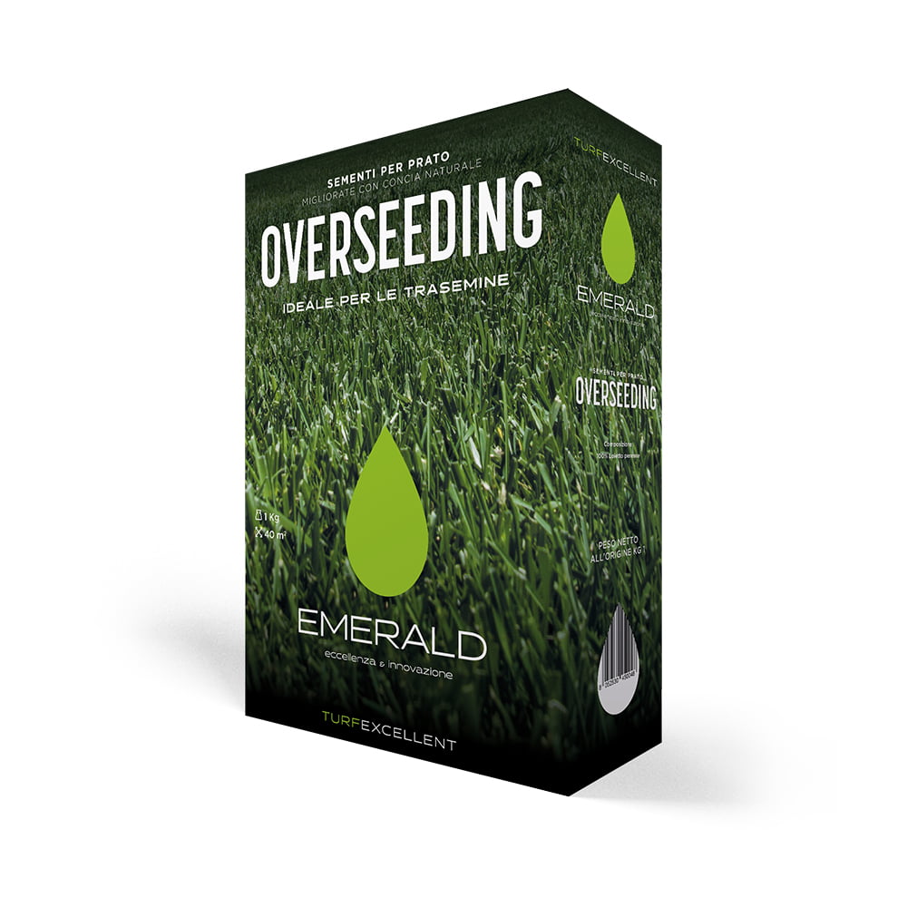 seminte gazon profesionale overseeding - suprainsamantare 1kg