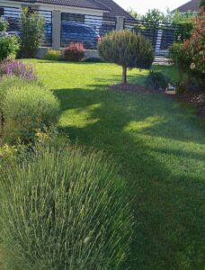 Ingrasamant Foliar Gazon & Plante Ornamentale, 1kg - PRECISION 11-0-11 - Emerald Green Italia