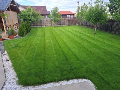 Seminte Gazon Reinsamantare, Gama Profesionala - OVERSEEDING - Emerald Green Italia