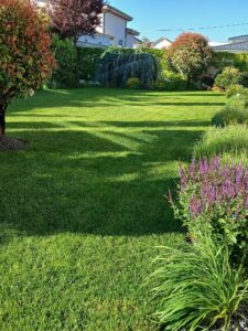 Ingrasamant foliar pentru gazon si plante ornamentale WINNER 10-5-7, 1kg - Emerald Green Italia