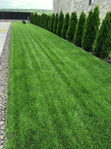 Ingrasamant foliar pentru gazon si plante ornamentale GREEN TOP, 1kg - Emerald Green Italia