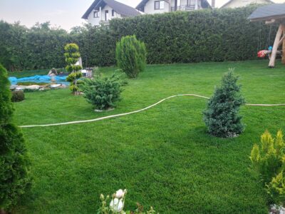 Ingrasamant Gazon All Season, Efect de Inverzire, NPK 14-28-10 - GO GREEN - Emerald Green Italia