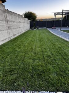 Ingrasamant Foliar pentru Gazon, 1kg - PRECISION 11-0-11 - Emerald Green Italia