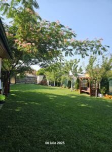 Seminte Profesionale de Gazon pentru Seceta & Trafic Intens - AGGRESSIVE - Emerald Green Italia