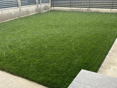 Ingrasamant Gazon All Season, Efect de Inverzire, NPK 14-28-10 - GO GREEN - Emerald Green Italia