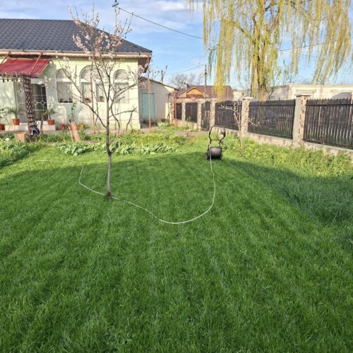 Ingrasamant Gazon All Season, Efect de Inverzire, NPK 14-28-10 - GO GREEN - Emerald Green Italia