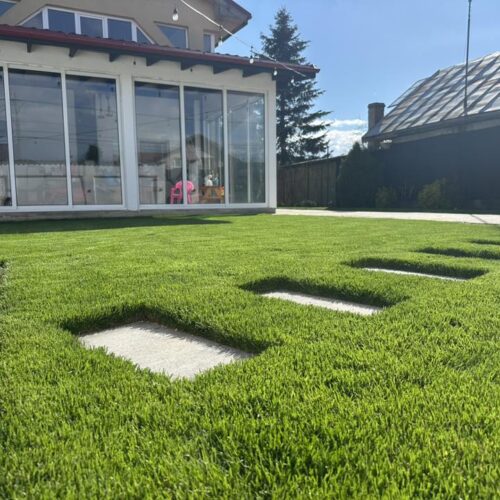 Ingrasamant Foliar pentru Gazon, 1kg - PRECISION 11-0-11 - Emerald Green Italia