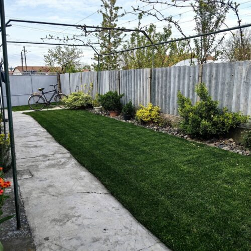 Seminte Profesionale de Gazon pentru Umbra - SHADOW - Emerald Green Italia