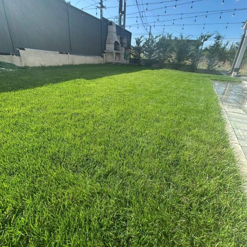 Seminte Profesionale de Gazon pentru Seceta & Trafic Intens - AGGRESSIVE - Emerald Green Italia