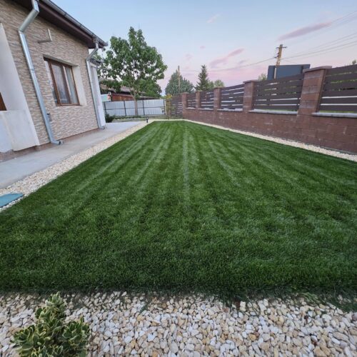Seminte Profesionale de Gazon pentru Seceta & Trafic Intens - AGGRESSIVE - Emerald Green Italia