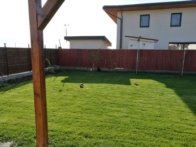 Ingrasamant Foliar pentru Gazon, 1kg - PRECISION 11-0-11 - Emerald Green Italia