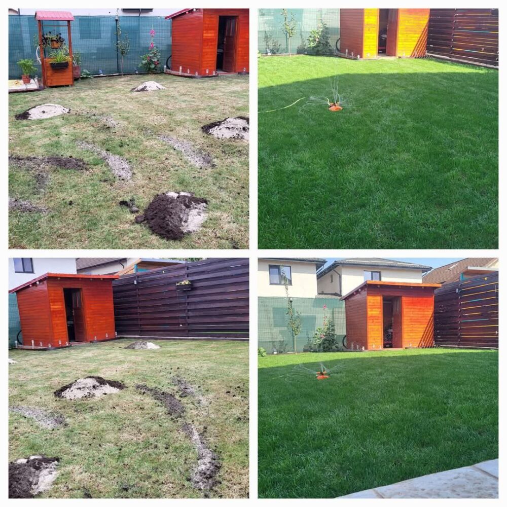Seminte Gazon Reinsamantare, Gama Profesionala - OVERSEEDING - Emerald Green Italia