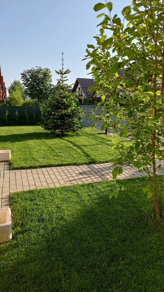 Ingrasamant Profesional pentru Gazon, Primavara/Toamna - RACE - Emerald Green Italia