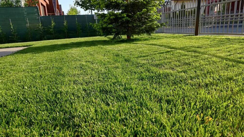 Ingrasamant Profesional pentru Gazon, Primavara/Toamna - RACE - Emerald Green Italia