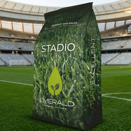 seminte gazon stadio - teren fotbal