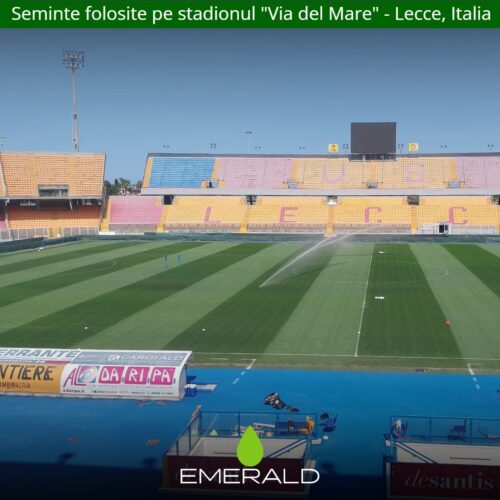 seminte overseeding lecce italia