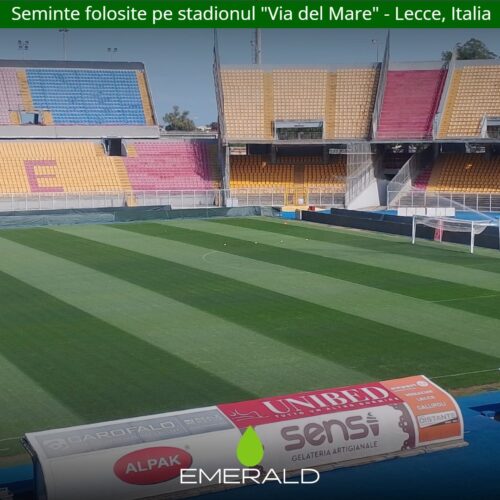 seminte overseeding lecce italia - poza 2