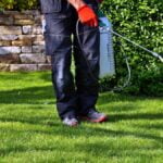 aplicare fertilizant lichid gazon
