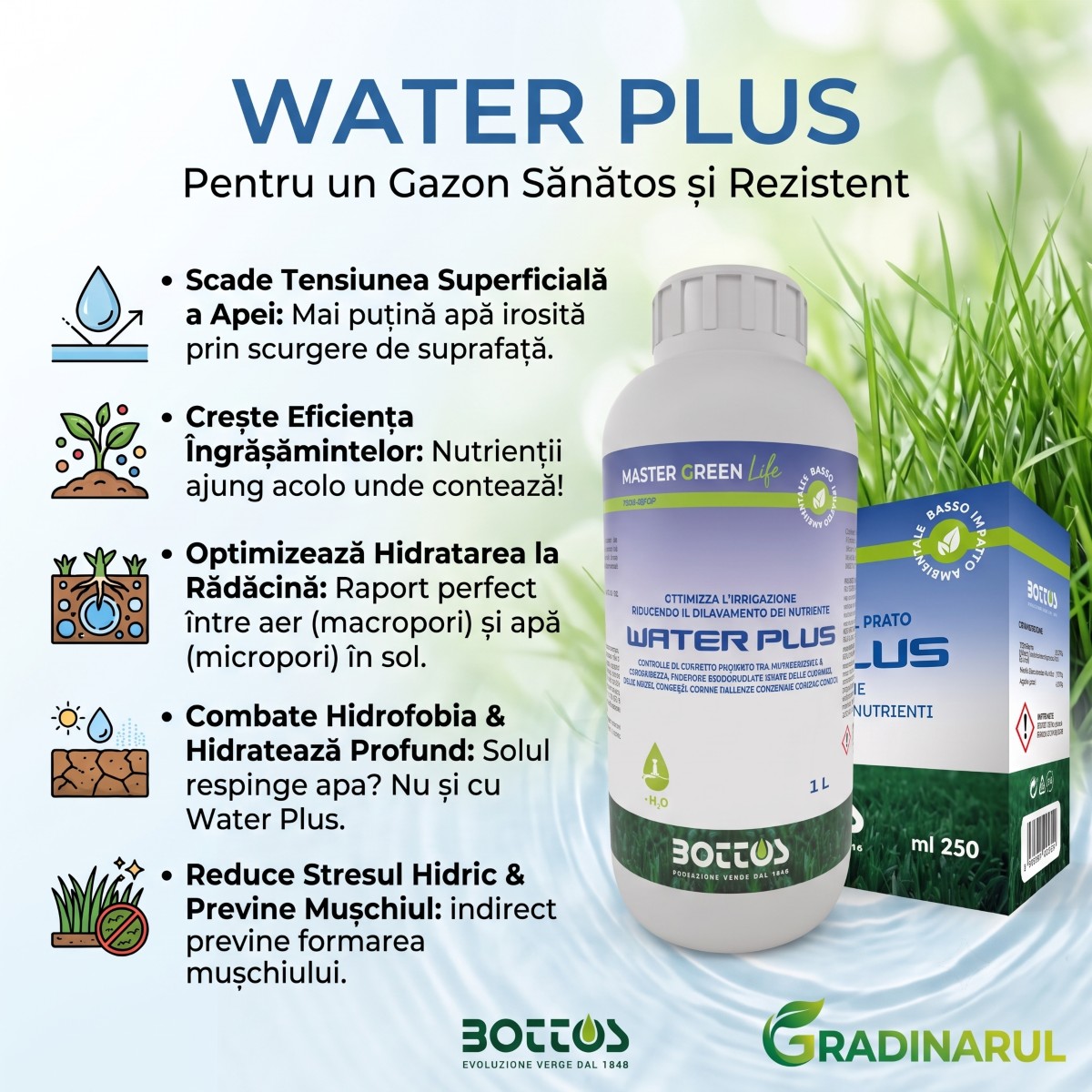 water plus - promo banner water plus - promo banner