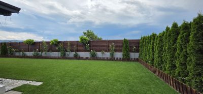 Pachet Foliari Gazon: Precision 1kg + Green Top 1kg, Acoperire pana la 800m2 - Emerald Green Italia