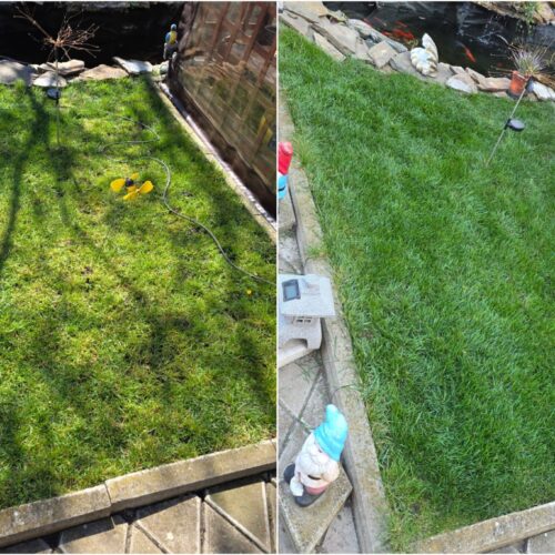 Pachet Foliari Gazon: Precision 1kg + Green Top 1kg, Acoperire pana la 800m2 - Emerald Green Italia