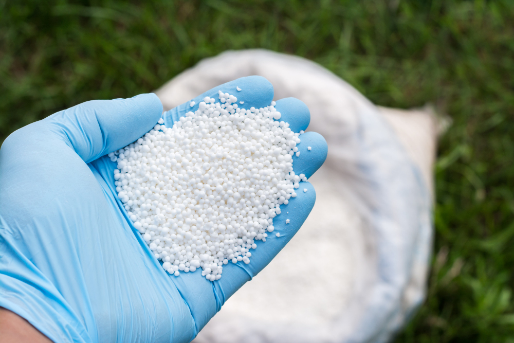 fertilizant gazon