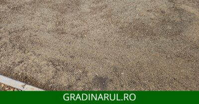 irigarea dupa insamantare