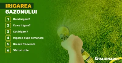 irigarea gazonului corect - ghid complet