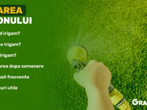 irigarea gazonului corect - ghid complet
