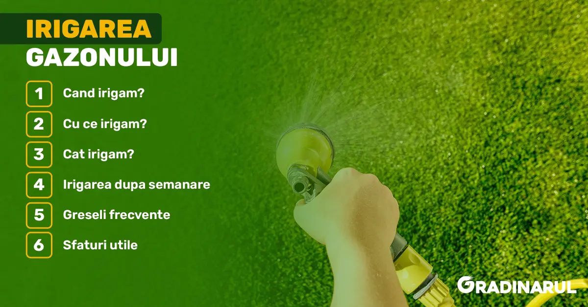 irigarea gazonului corect - ghid complet
