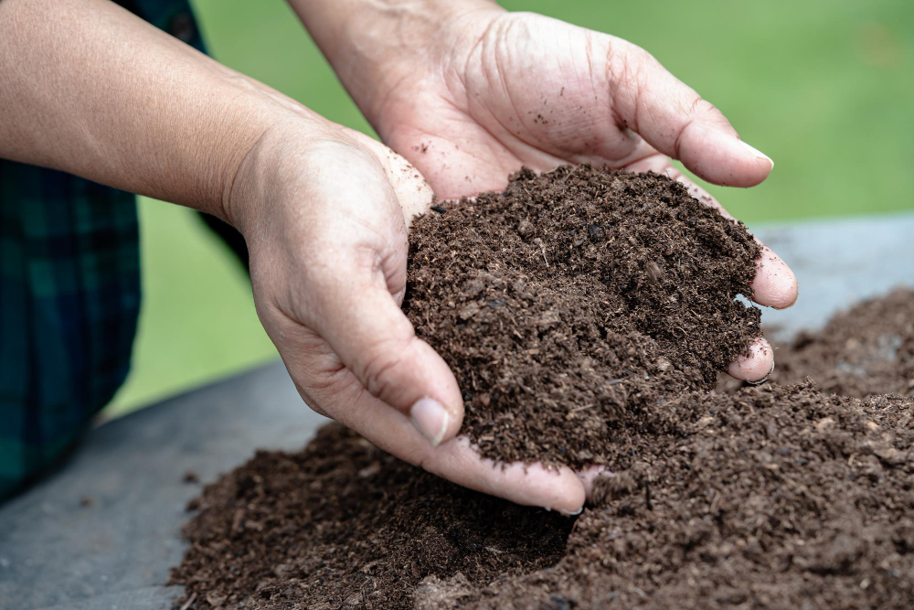 pamant top dressing insamantare gazon