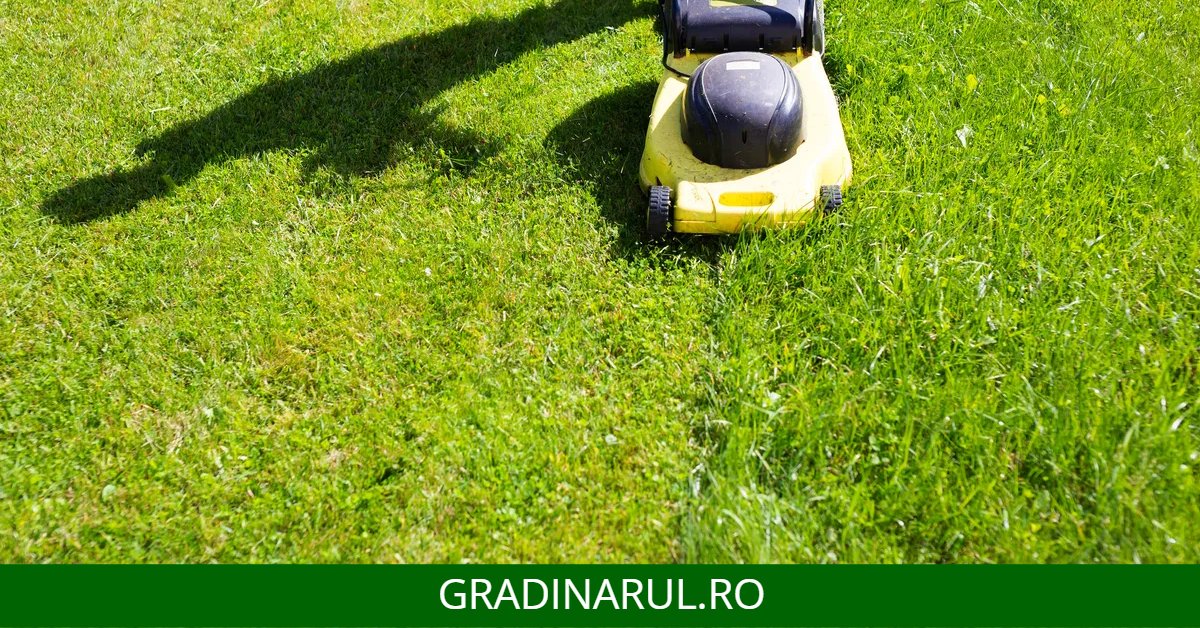 problema tundere prea joasa