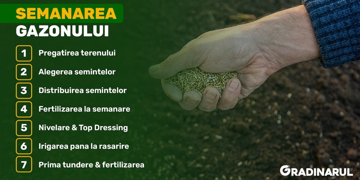 semanarea gazonului - ghid complet