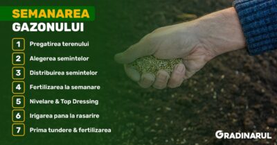 semanarea gazonului - ghid complet