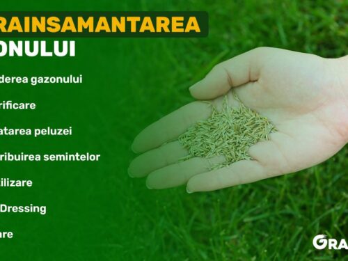 suprainsamantarea-gazonului