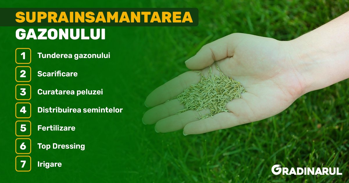 suprainsamantarea-gazonului