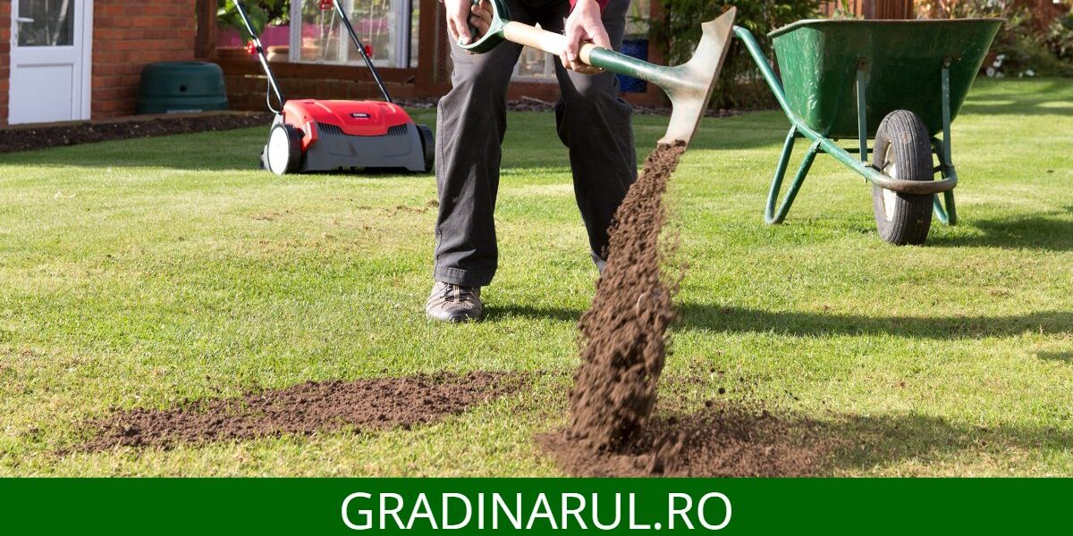 top dressing gazon - ce este si cand se foloseste