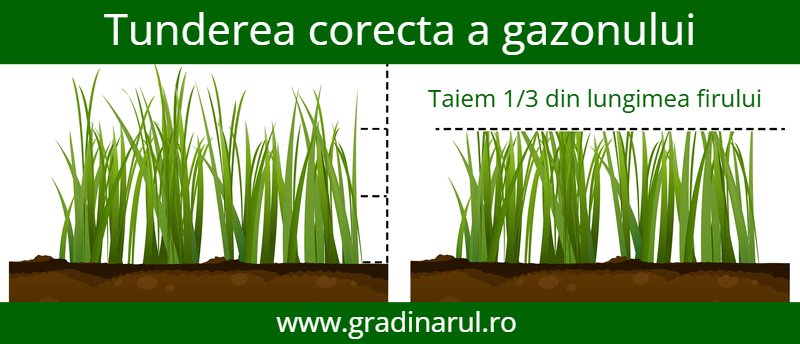 tunderea corecta a gazonului