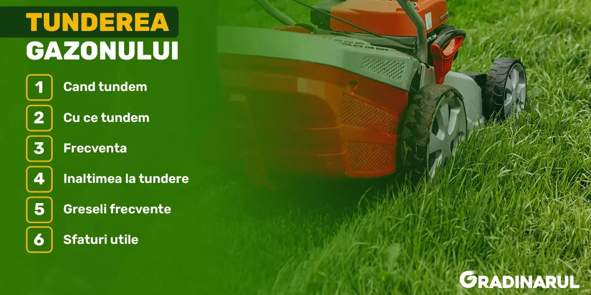 tunderea gazonului ghid complet
