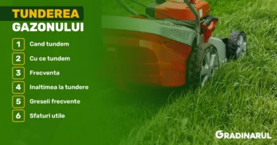 tunderea gazonului ghid complet