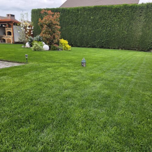 Pachet Complet 1 An - 100m2 Gazon: Ingrasamant Go Green(10kg) + Foliarii Precision & Green Top