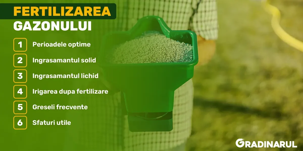 fertilizarea-gazonului
