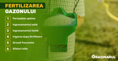 fertilizarea-gazonului