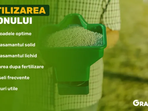 fertilizarea-gazonului