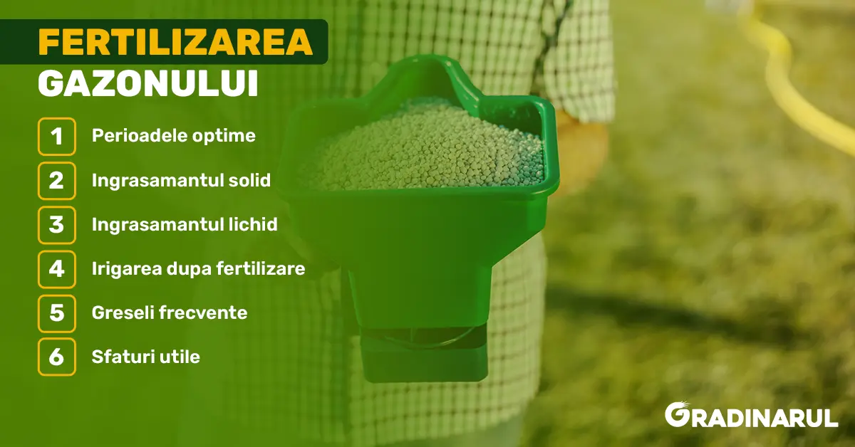 fertilizarea-gazonului