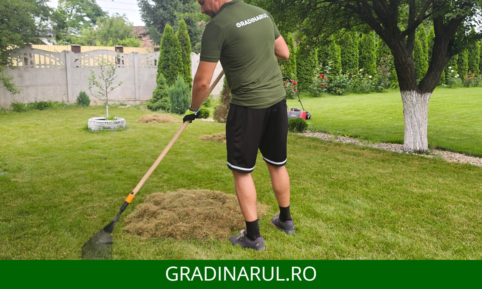 greblare dupa scarificare
