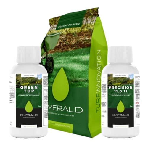 pachet 100m2 intretinere gazon 1 an go green 10kg + precision + green top