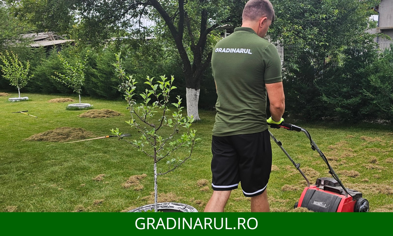 scarificare gradinarul