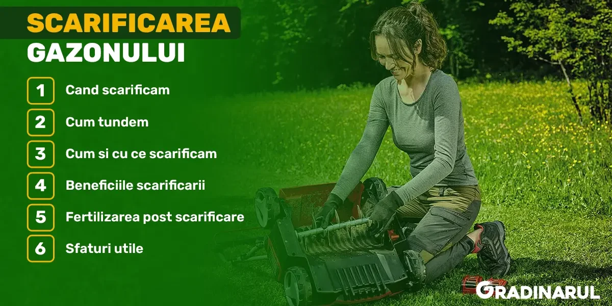 scarificarea-gazonului
