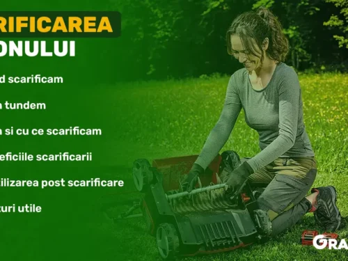 scarificarea-gazonului